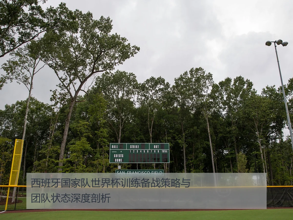 西班牙国家队世界杯训练备战策略与团队状态深度剖析